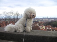Výlet Praha 2014